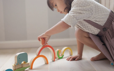 Goodies – Neon Rainbow and Animal Blocks