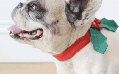 Goodies – A Christmas Collar