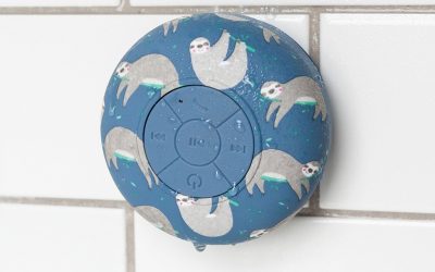 Goodies – Singing in the Shower