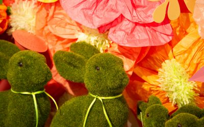 Good News – Our Spring Collection Part 1