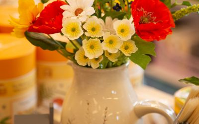 Good News – Our Spring Collection Part 2