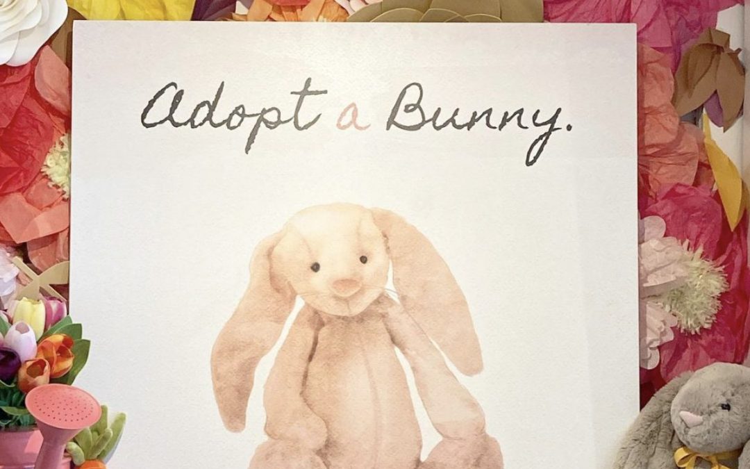 Goodies – Adopt a Bunny