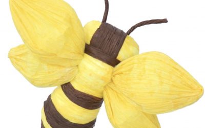 Goodies – More to Buzz About