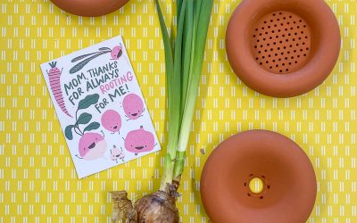 Mothers Day Gift Ideas – Quirky Gifts