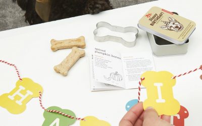 Goodies – Pet Birthday