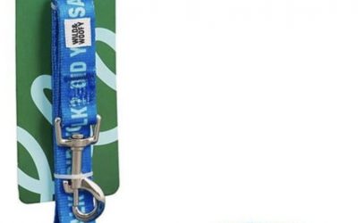 Goodies – Walkies?