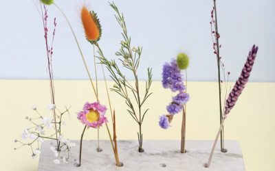 New Goodies – The Flowerbrick