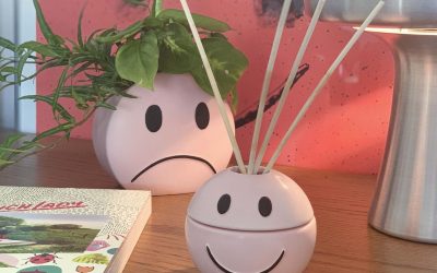 Goodies – Smiley Mood Diffuser