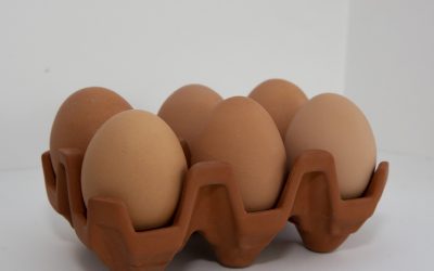 Goodies – Egg-cellent Egg Tray