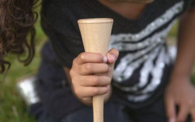 Goodies – Hear the Great Outdoors