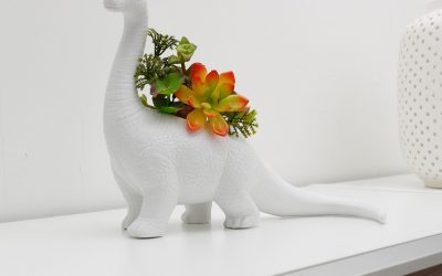 Goodies – Aplanatsaurus