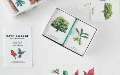 Goodies – Match a Leaf