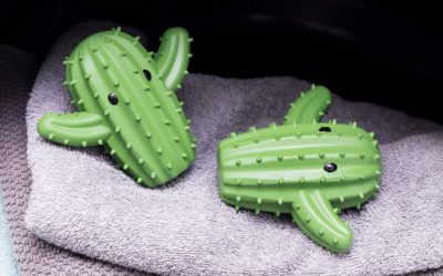 Goodies – Cactus Dryer