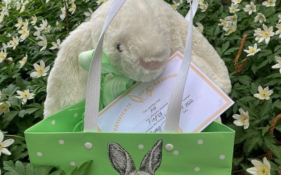 Goodies – Adopt a Bunny