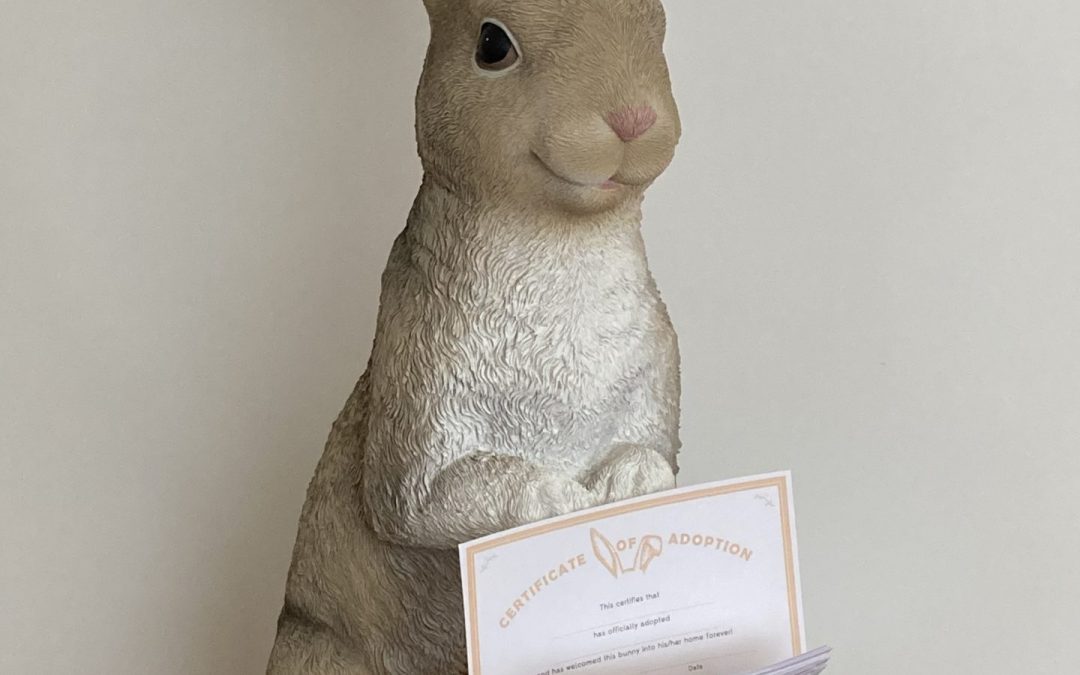 Good Ideas – Adopt a Bunny Certificate