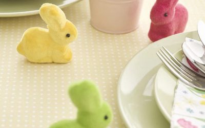 Goodies – Bright Bunnies