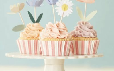 Goodies – Meri Meri Cupcake Kits