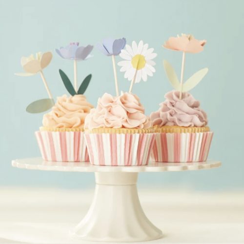 Goodies – Meri Meri Cupcake Kits