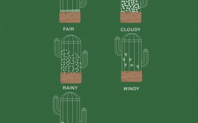 Goodies – Cactus Glass Weather Predictor