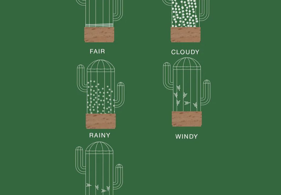 Goodies – Cactus Glass Weather Predictor