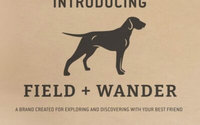 Goodies – Field + Wander