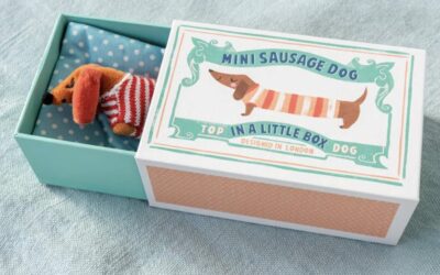 Goodies – Mini Pup in a Box