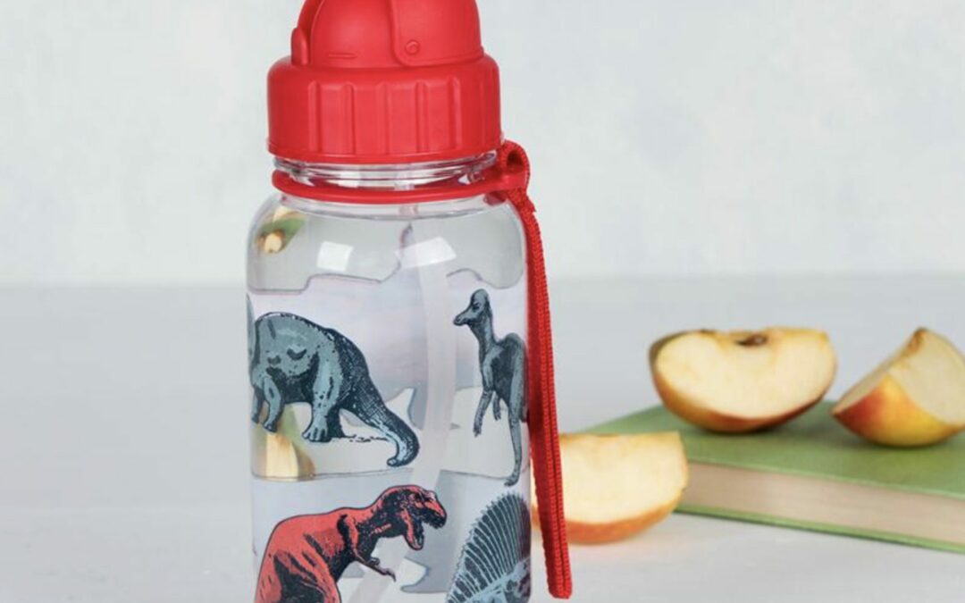 Goodies – The Dino Water Bottle