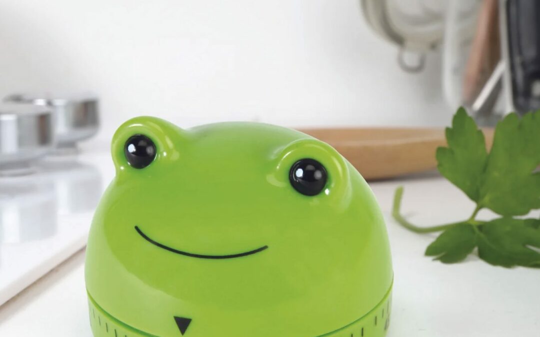 Goodies – Frog Timer