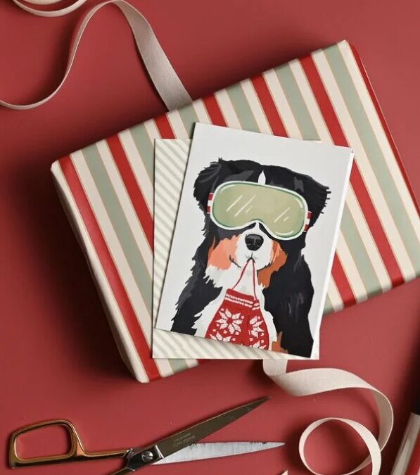 Amy Heitmann Christmas Cards